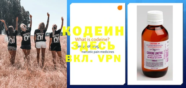 ГАЛЛЮЦИНОГЕННЫЕ ГРИБЫ Калининец