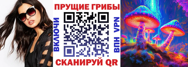 Псилоцибиновые грибы Cubensis  Шали 